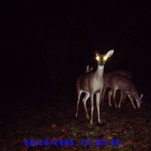 Meet your Posher, Richard